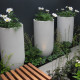 Axis 100's Sty Dol Chelsea Flower Show