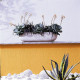Ark window box