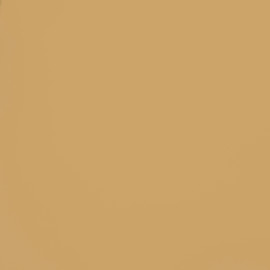 Warm Sandstone