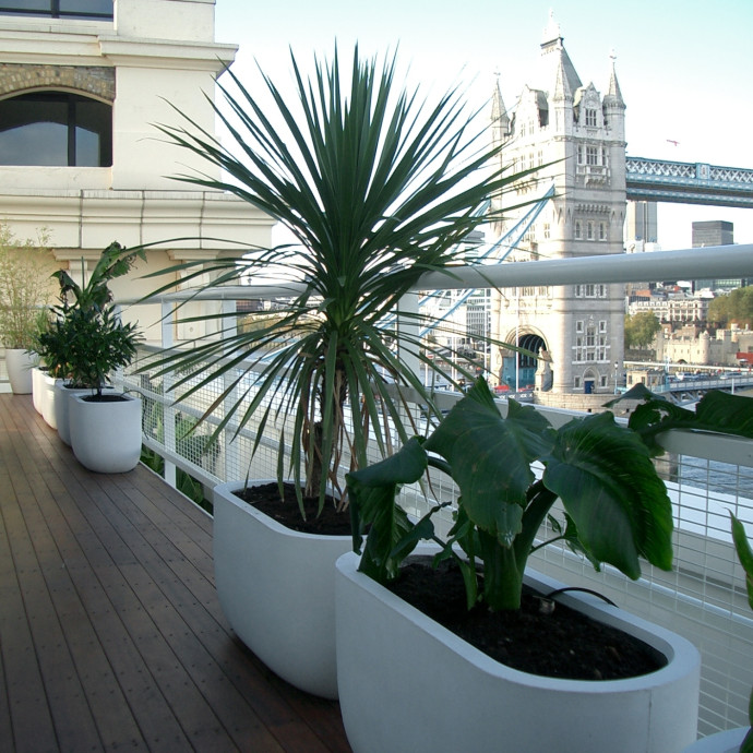 Trough 100 Tower Bridge