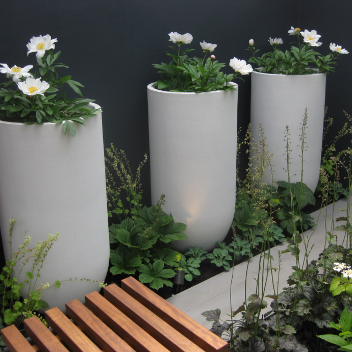 Axis 100's Sty Dol Chelsea Flower Show