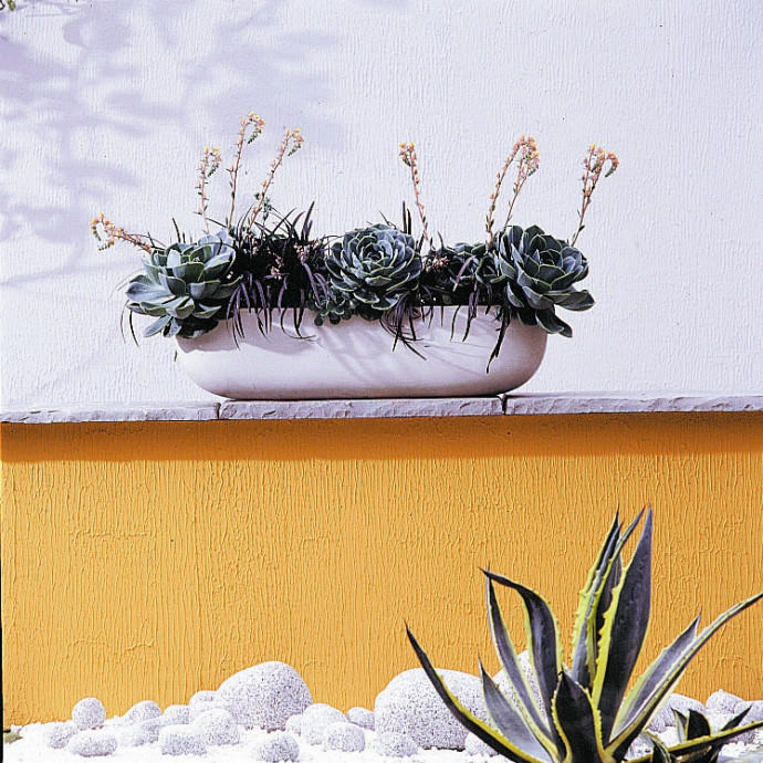 Click to enlarge Ark window box