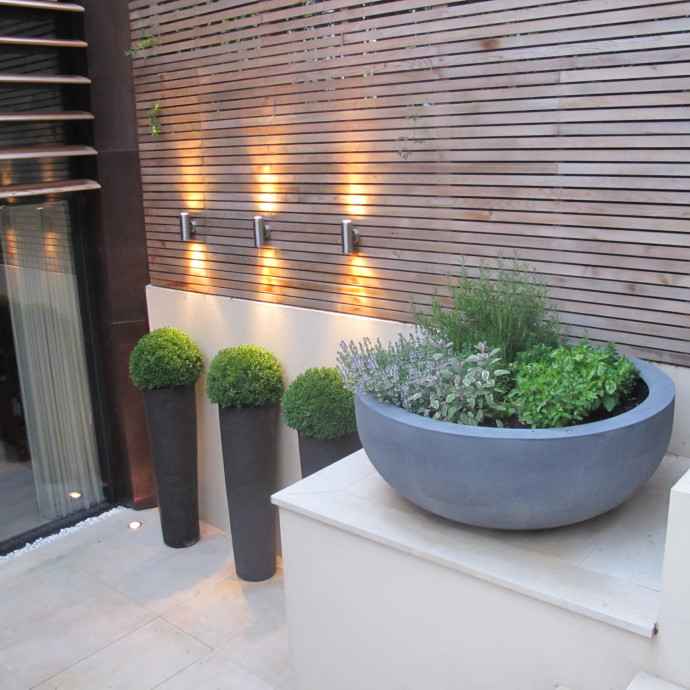Discus Stony Slate